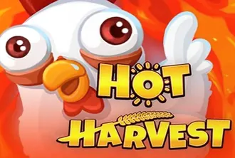 Hot Harvest