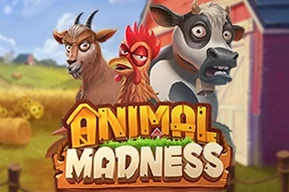 Animal Madness