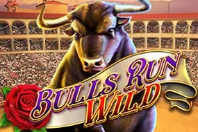 Bulls Run Wild